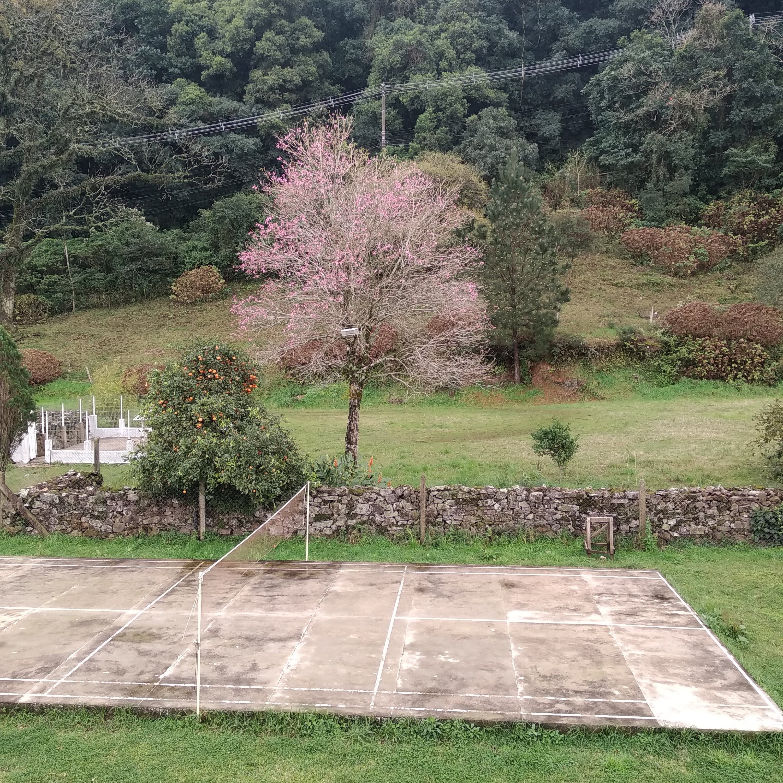 Sítio / Chácara 3 quartos para Venda no bairro Centro em Morro Reuter