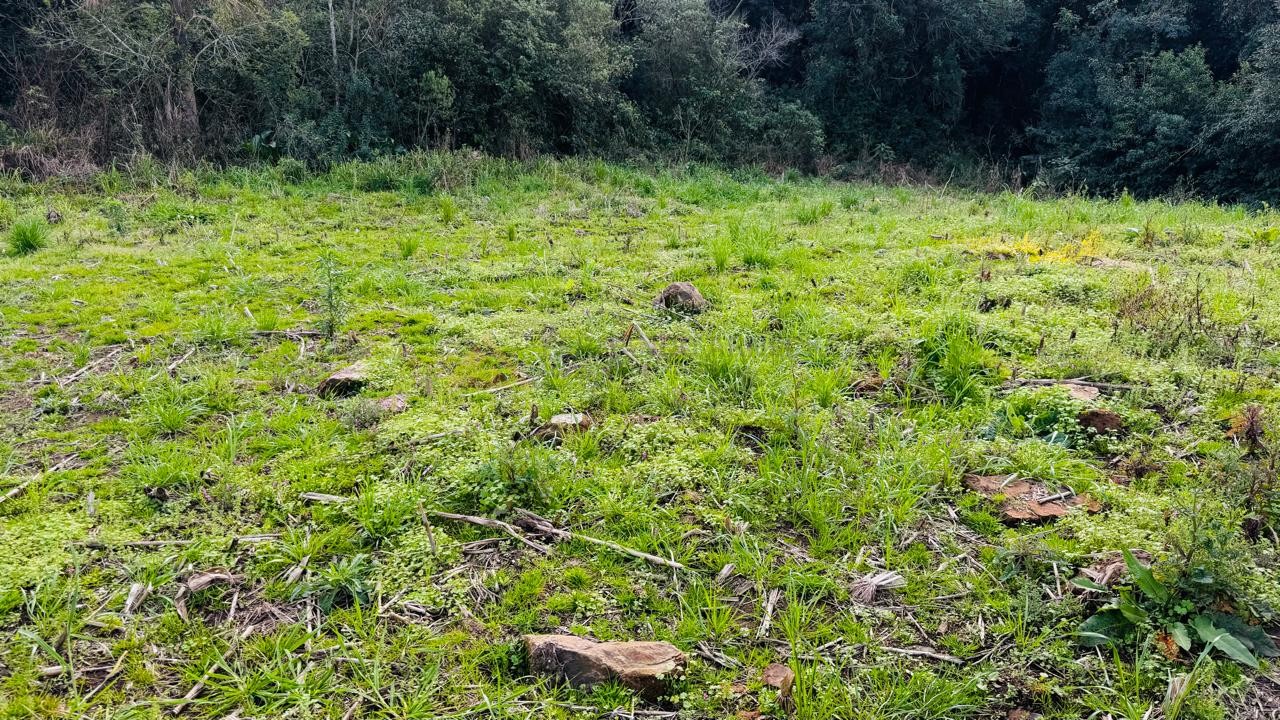 Sítio / Chácara para Venda no bairro Padre Eterno Ilges em Santa Maria do Herval