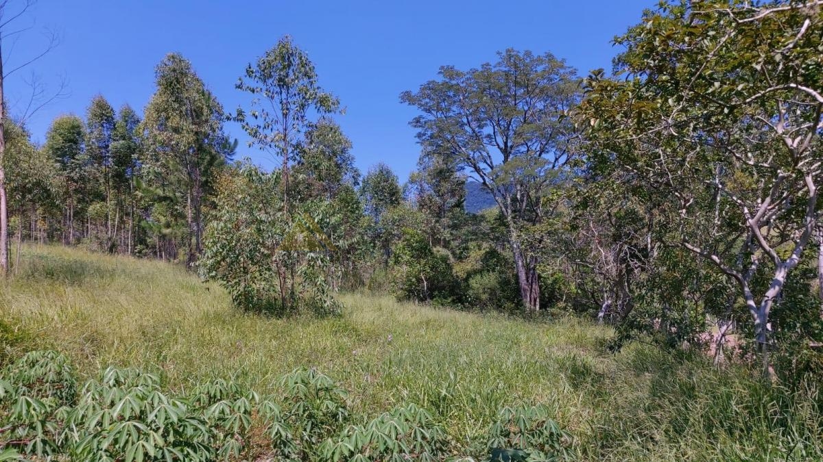 Sítio / Chácara para Venda no bairro Zona Rural em Araricá