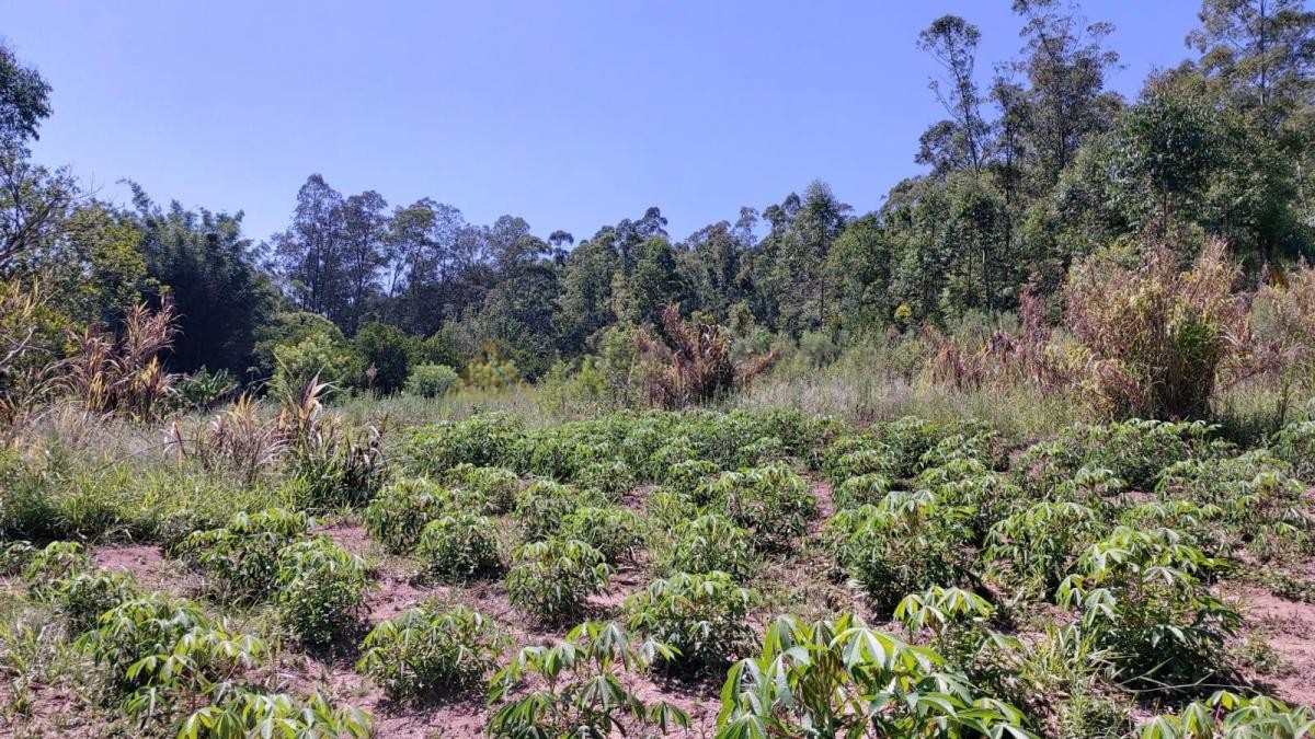 Sítio / Chácara para Venda no bairro Zona Rural em Araricá