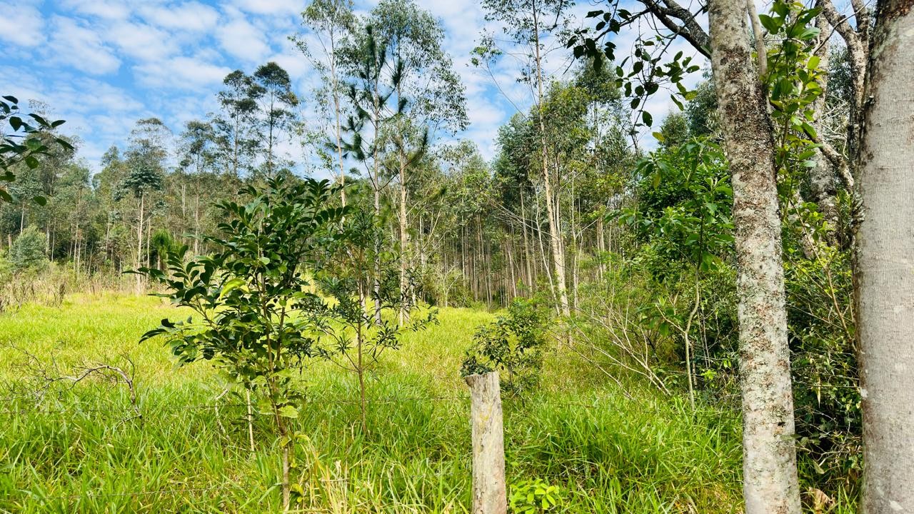 Sítio / Chácara para Venda no bairro Zona Rural em Araricá