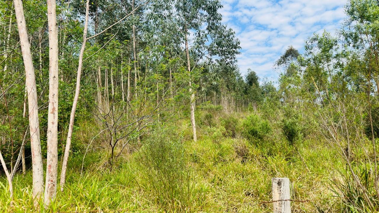 Sítio / Chácara para Venda no bairro Zona Rural em Araricá