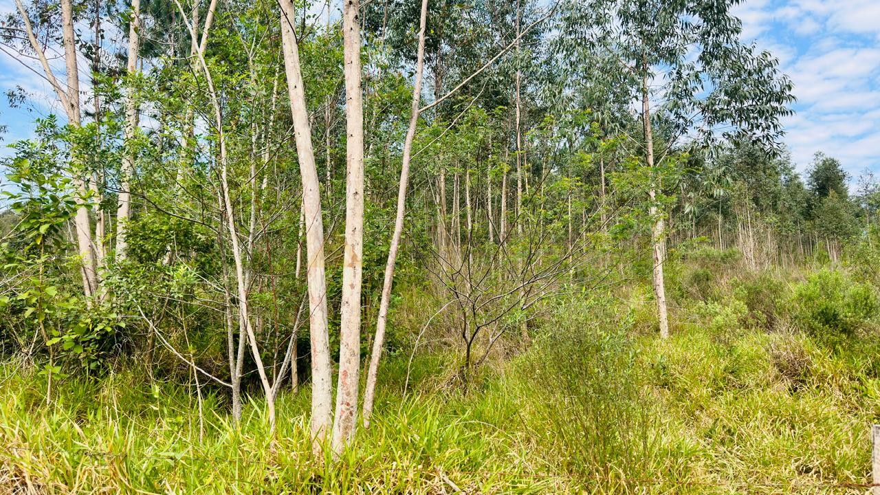 Sítio / Chácara para Venda no bairro Zona Rural em Araricá