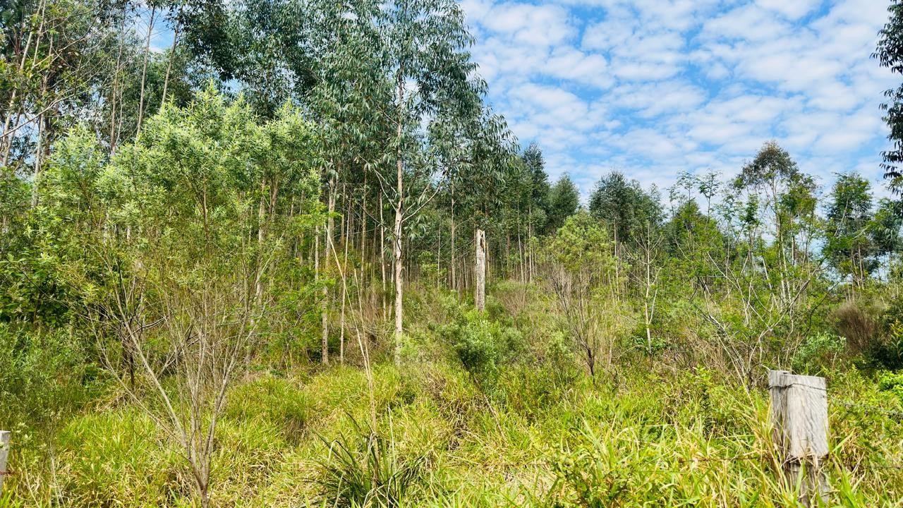Sítio / Chácara para Venda no bairro Zona Rural em Araricá