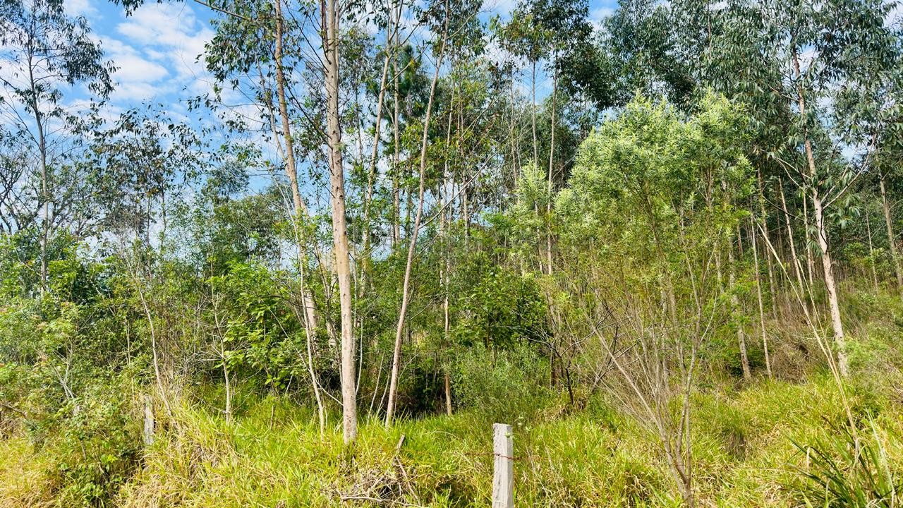 Sítio / Chácara para Venda no bairro Zona Rural em Araricá