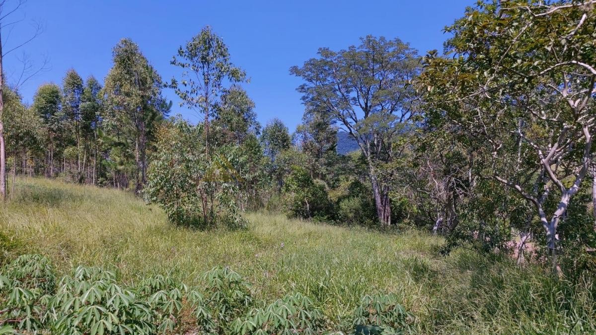 Sítio / Chácara para Venda no bairro Zona Rural em Araricá