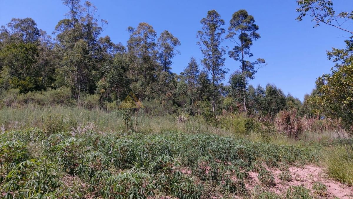 Sítio / Chácara para Venda no bairro Zona Rural em Araricá