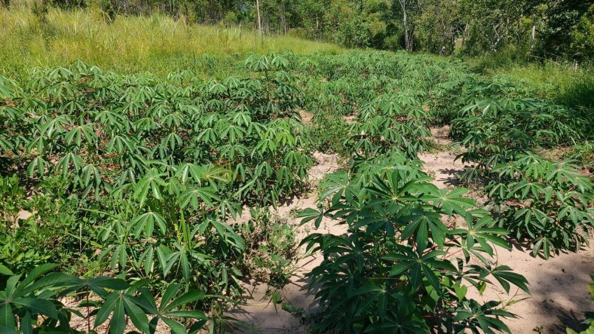 Sítio / Chácara para Venda no bairro Zona Rural em Araricá