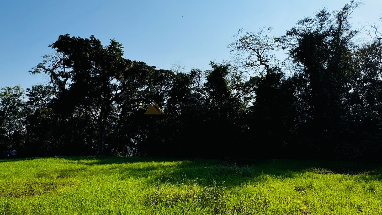 Sítio / Chácara para Venda no bairro Zona Rural em Nova Hartz