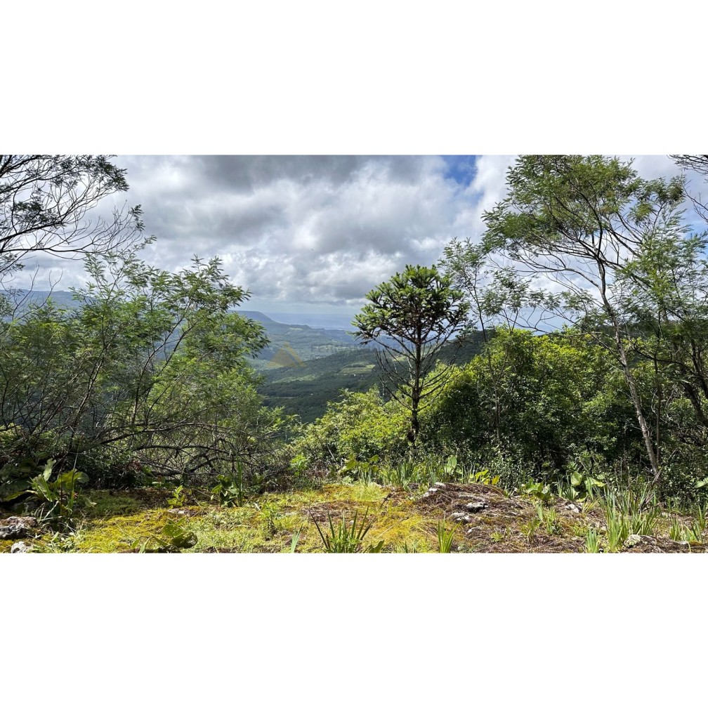 Terreno para Venda no bairro Mato Comprido em Morro Reuter