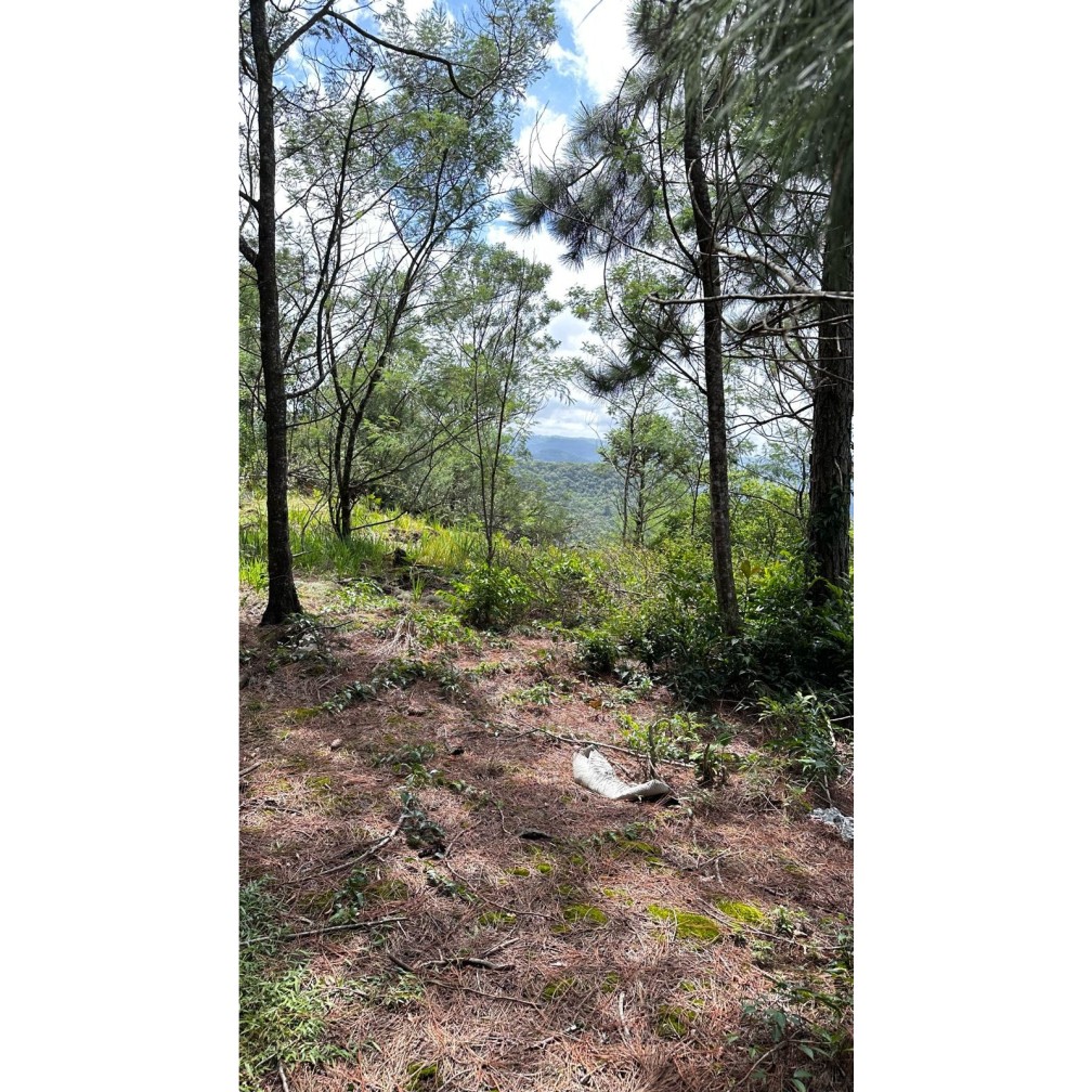 Terreno para Venda no bairro Mato Comprido em Morro Reuter