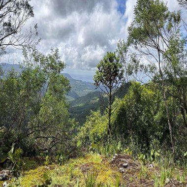 Terreno para Venda no bairro Mato Comprido em Morro Reuter