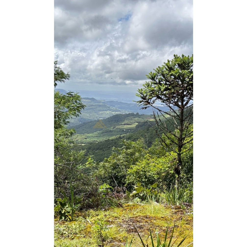Terreno para Venda no bairro Mato Comprido em Morro Reuter