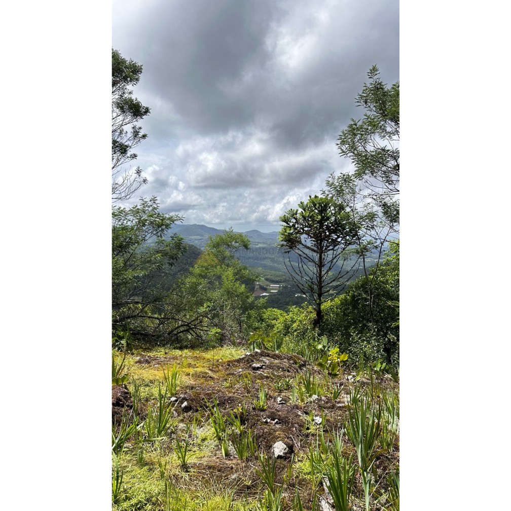 Terreno para Venda no bairro Mato Comprido em Morro Reuter