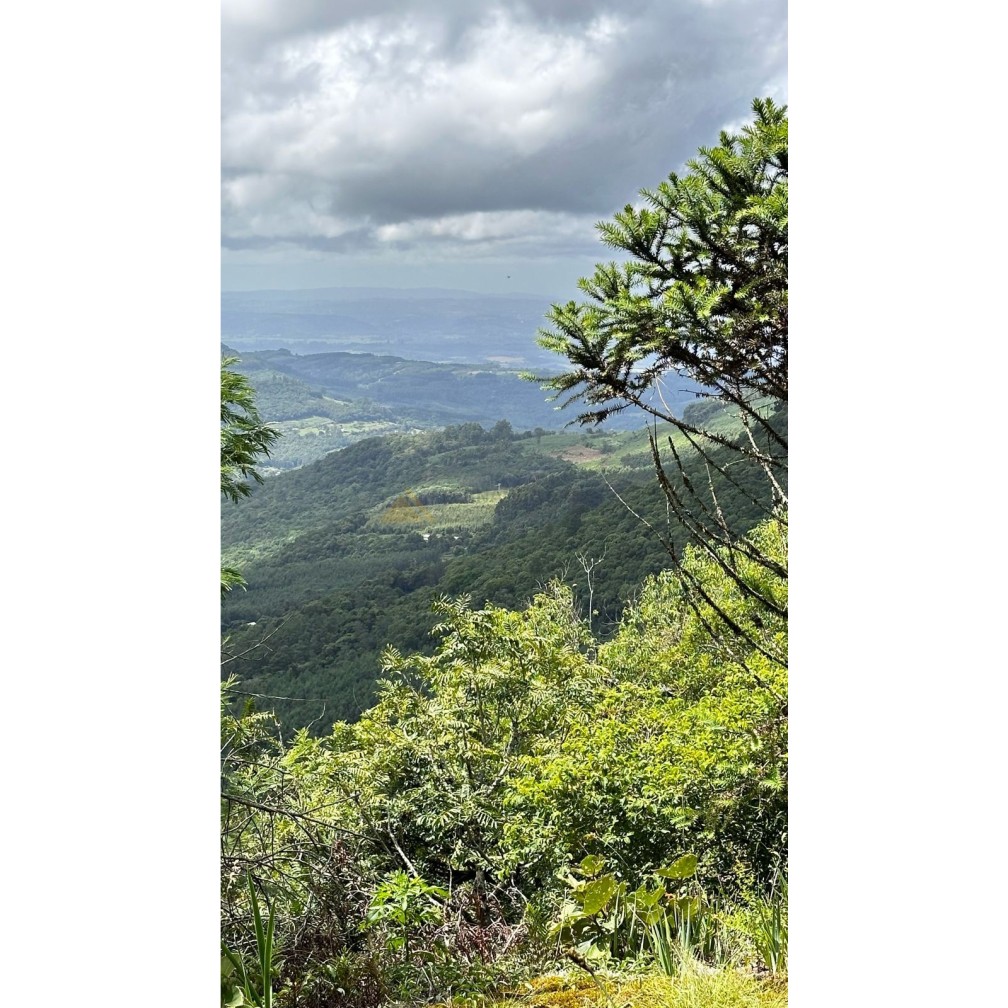 Terreno para Venda no bairro Mato Comprido em Morro Reuter