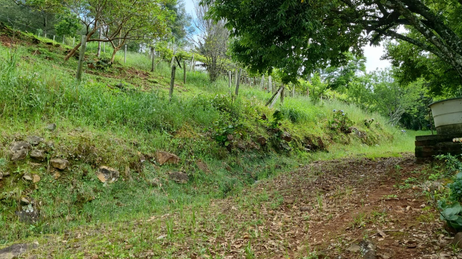 Sítio / Chácara 5 quartos para Venda no bairro São Jacó em Nova Petrópolis