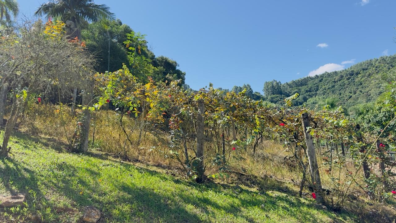Sítio / Chácara 5 quartos para Venda no bairro São Jacó em Nova Petrópolis