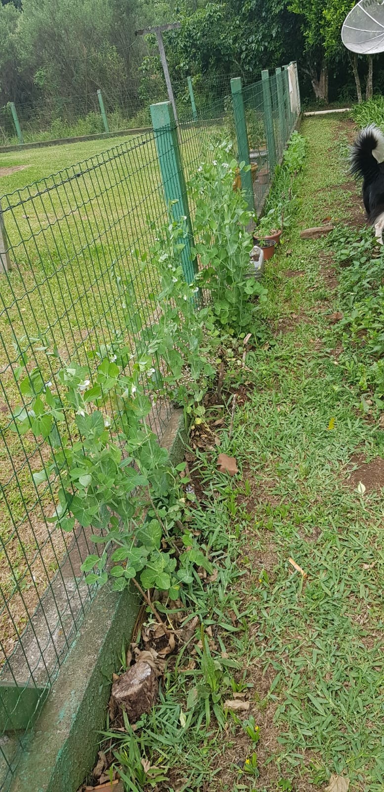 Casa 4 quartos para Venda no bairro Linha Imperial em Nova Petrópolis