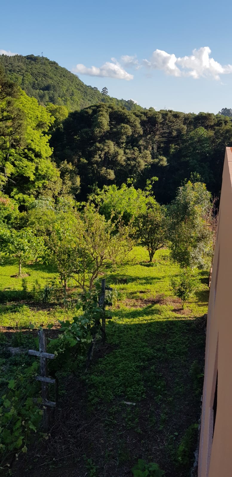 Casa 4 quartos para Venda no bairro Linha Imperial em Nova Petrópolis