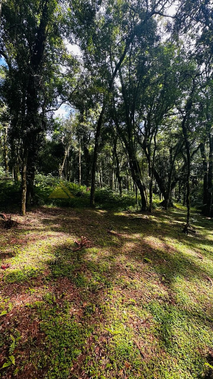 Terreno para Venda no bairro Linha Imperial em Nova Petrópolis