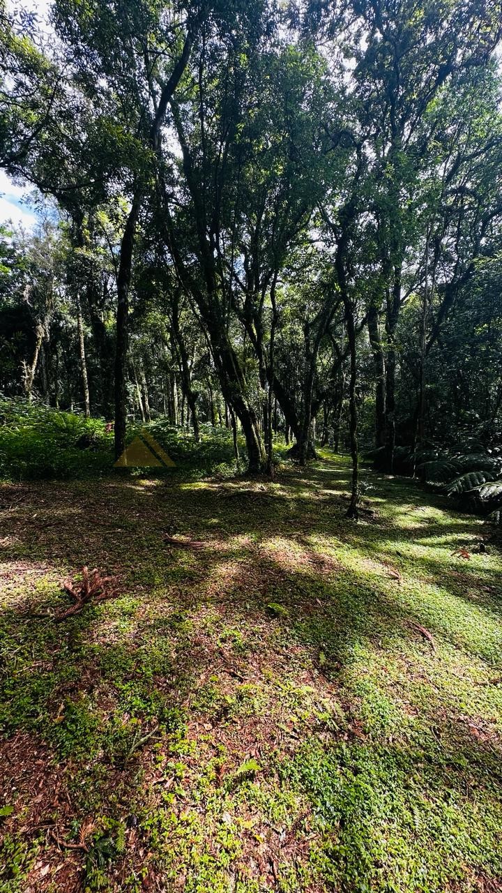 Terreno para Venda no bairro Linha Imperial em Nova Petrópolis