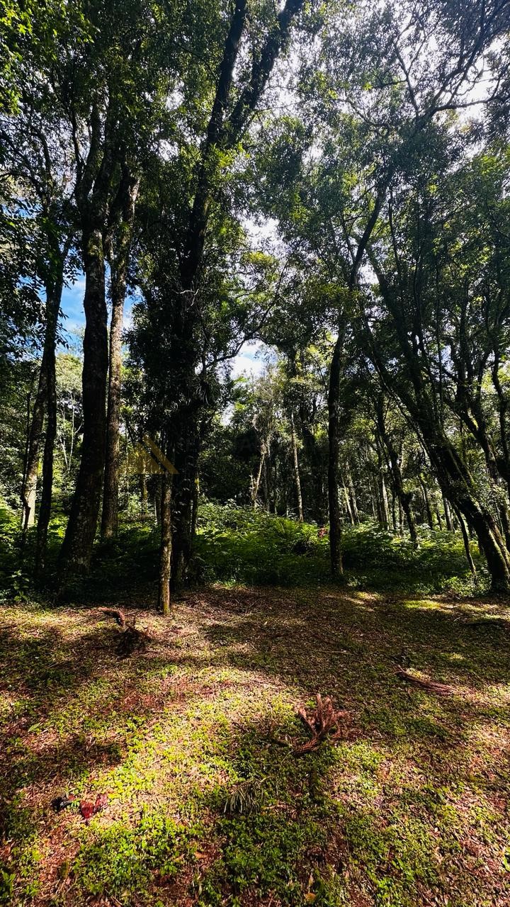 Terreno para Venda no bairro Linha Imperial em Nova Petrópolis