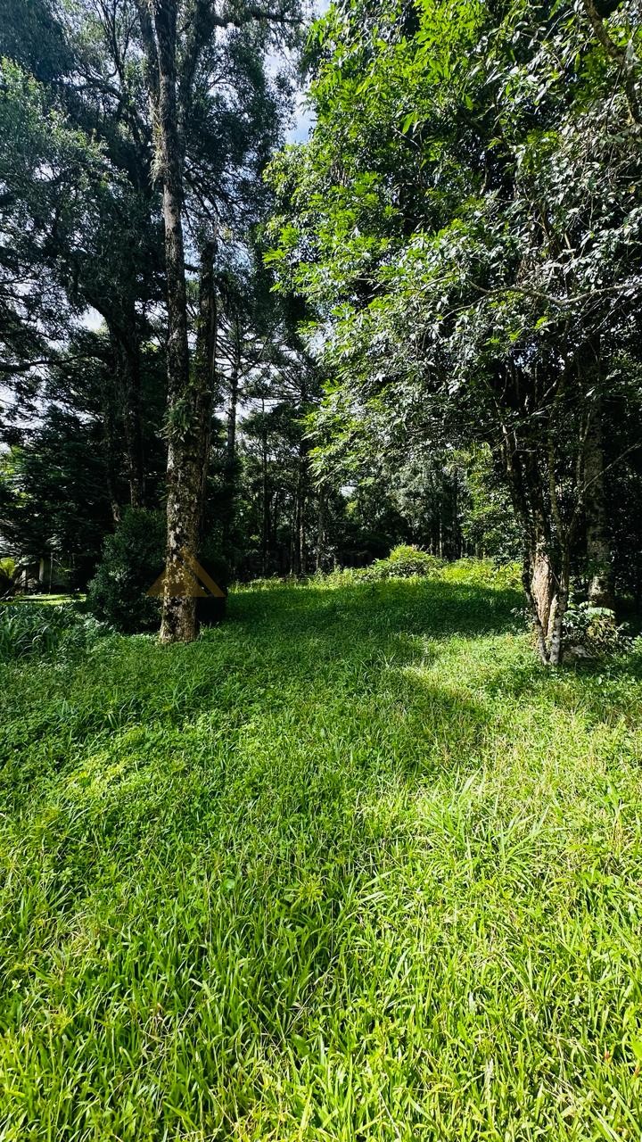 Terreno para Venda no bairro Linha Imperial em Nova Petrópolis