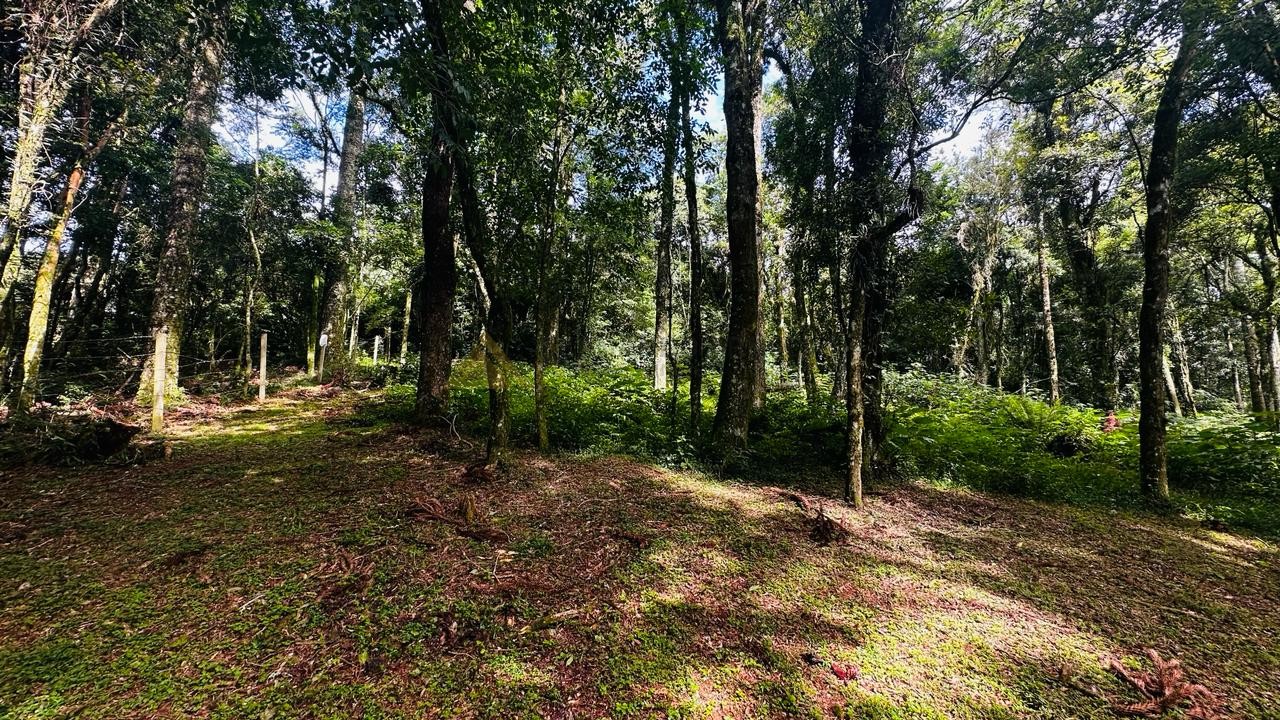 Terreno para Venda no bairro Linha Imperial em Nova Petrópolis