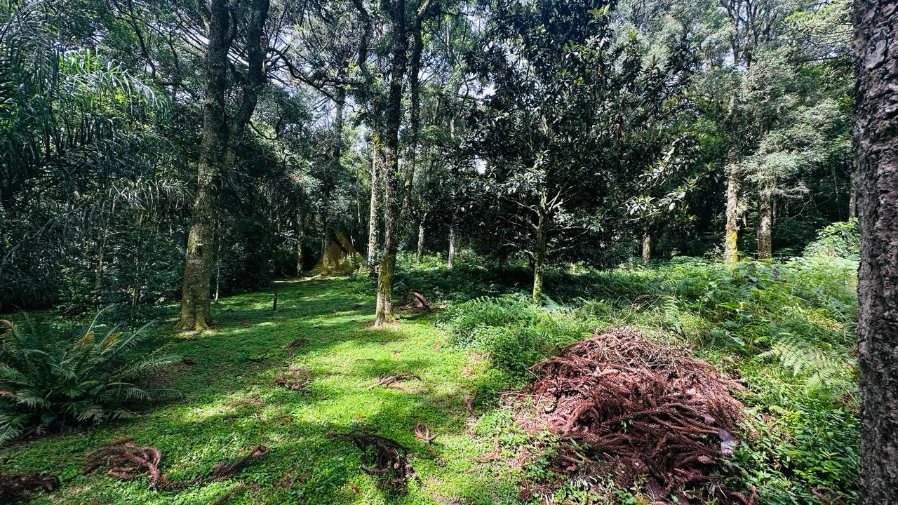 Terreno para Venda no bairro Linha Imperial em Nova Petrópolis