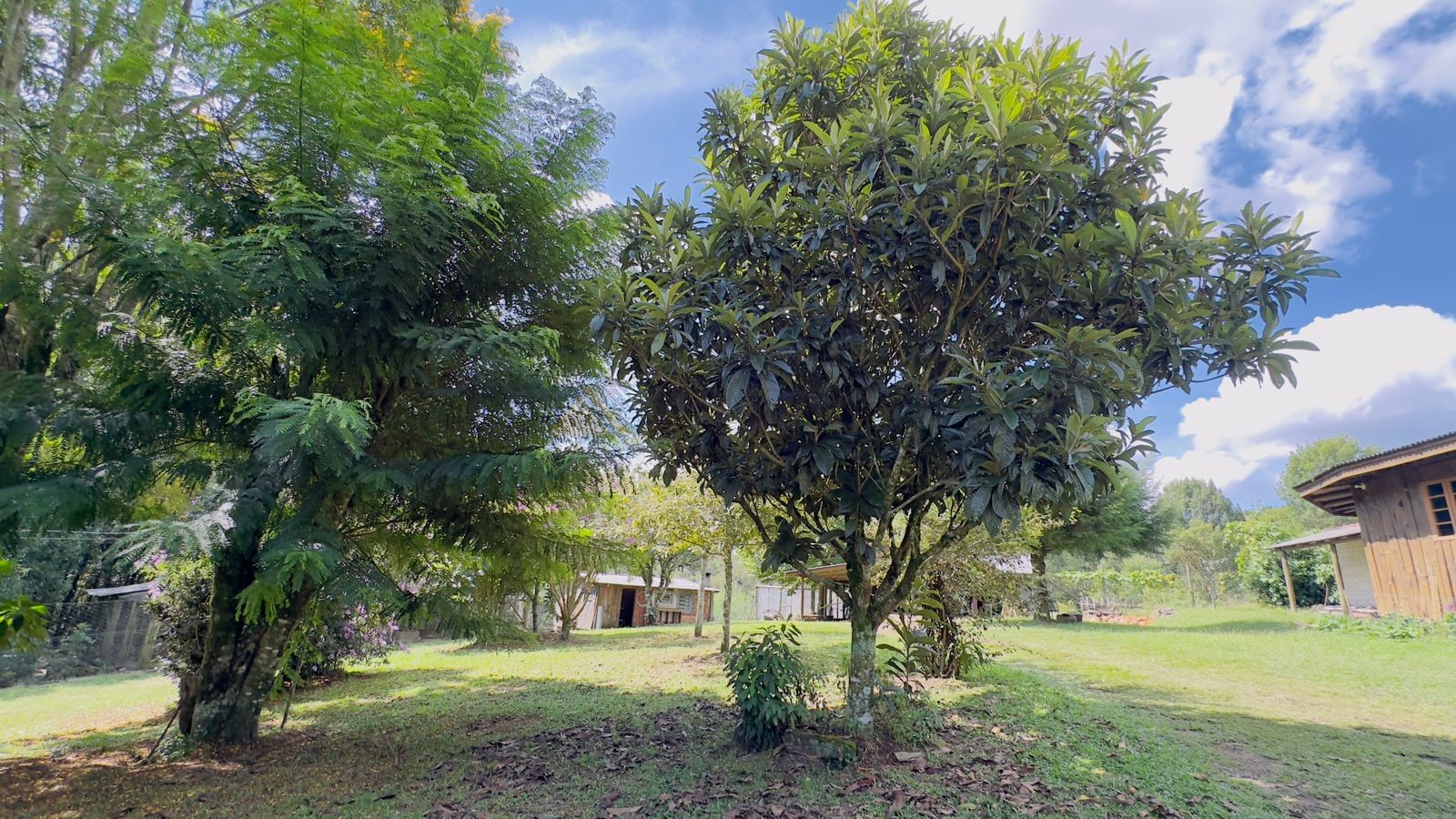 Sítio / Chácara 3 quartos para Venda no bairro Jardim das Fontes em Canela