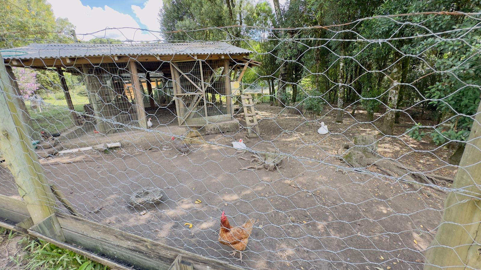 Sítio / Chácara 3 quartos para Venda no bairro Jardim das Fontes em Canela