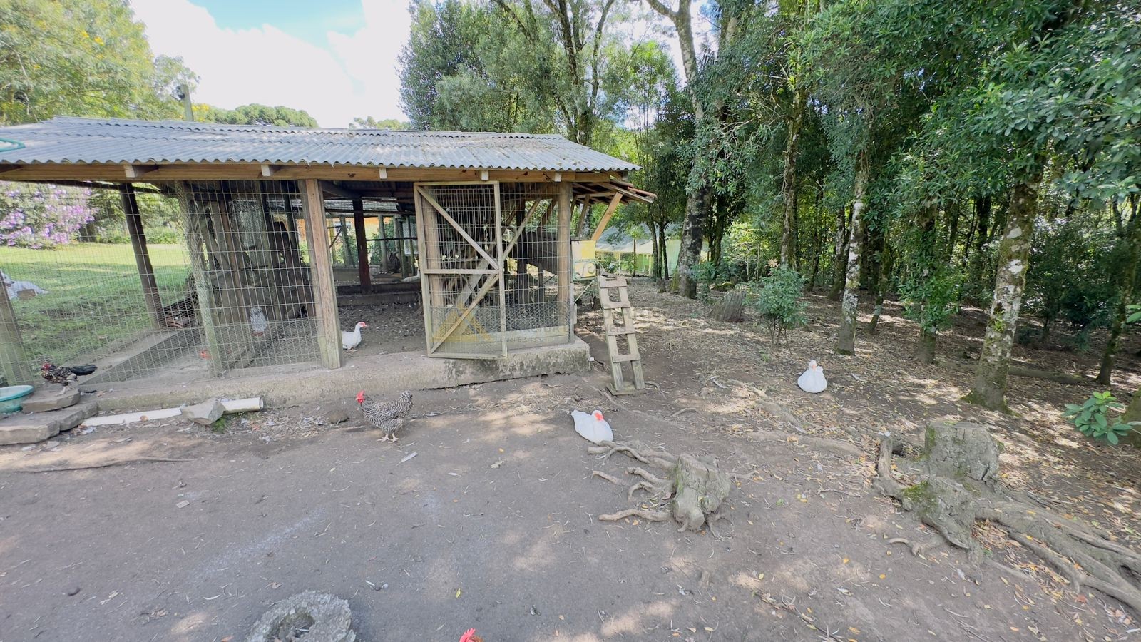 Sítio / Chácara 3 quartos para Venda no bairro Jardim das Fontes em Canela