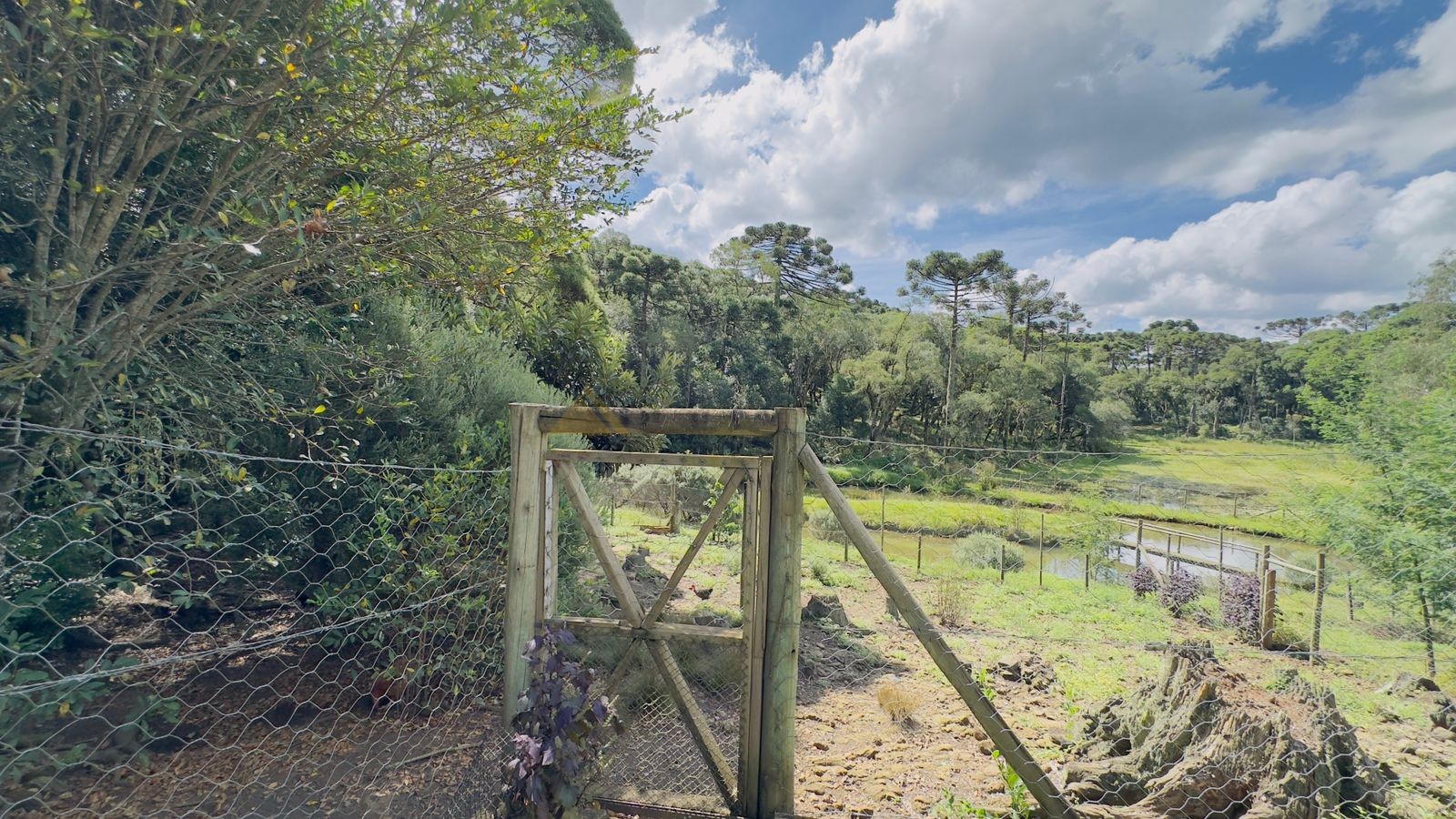 Sítio / Chácara 3 quartos para Venda no bairro Jardim das Fontes em Canela