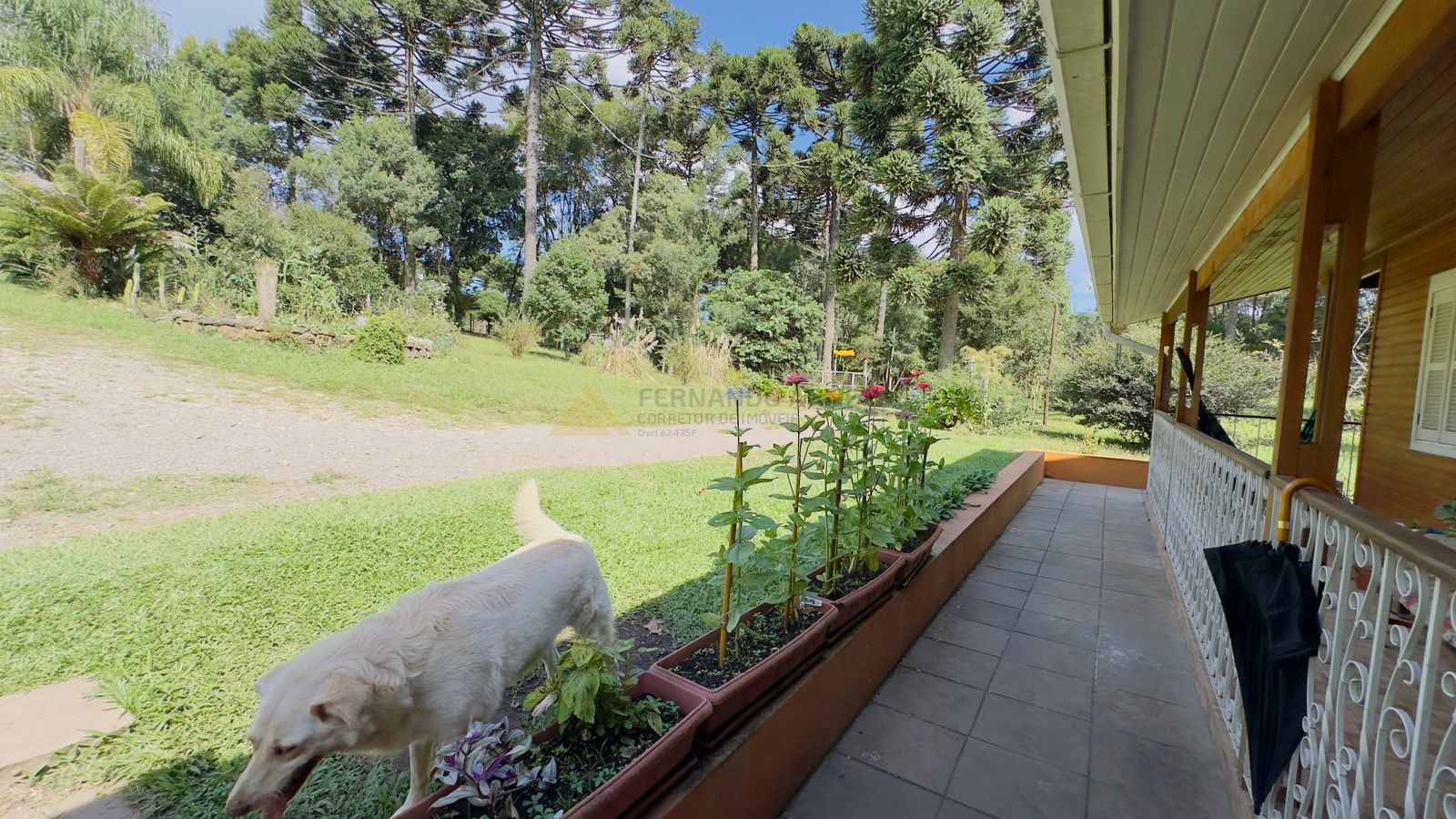 Sítio / Chácara 3 quartos para Venda no bairro Jardim das Fontes em Canela