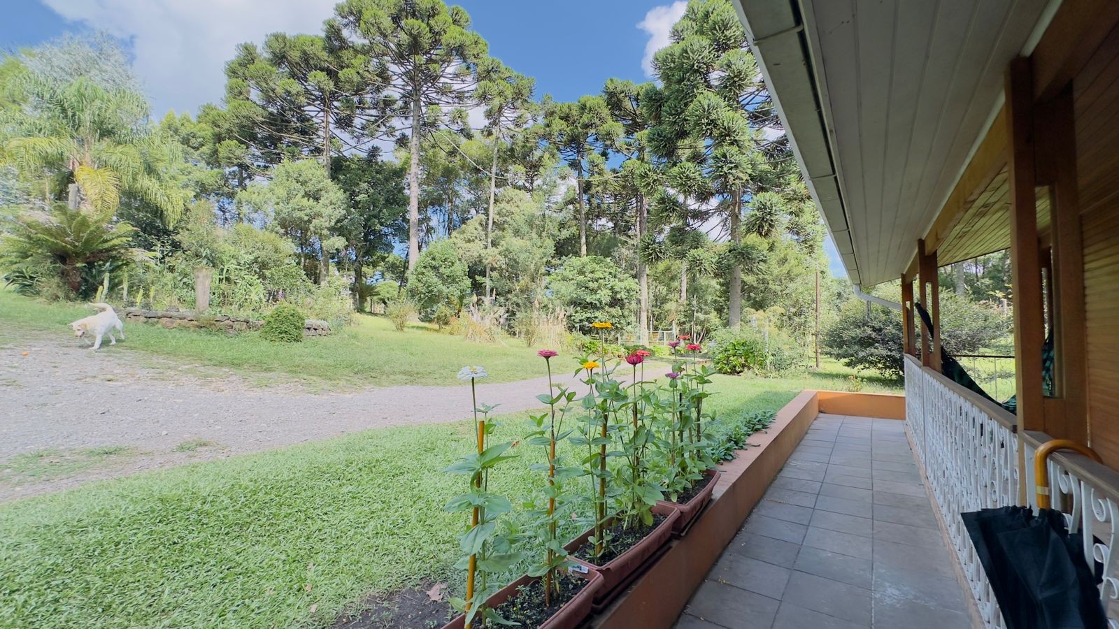 Sítio / Chácara 3 quartos para Venda no bairro Jardim das Fontes em Canela