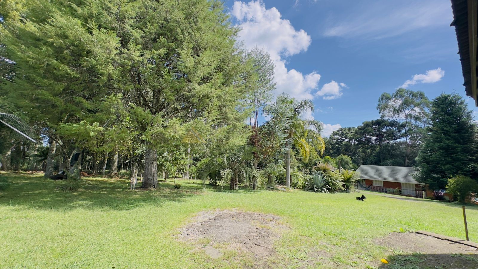 Sítio / Chácara 3 quartos para Venda no bairro Jardim das Fontes em Canela