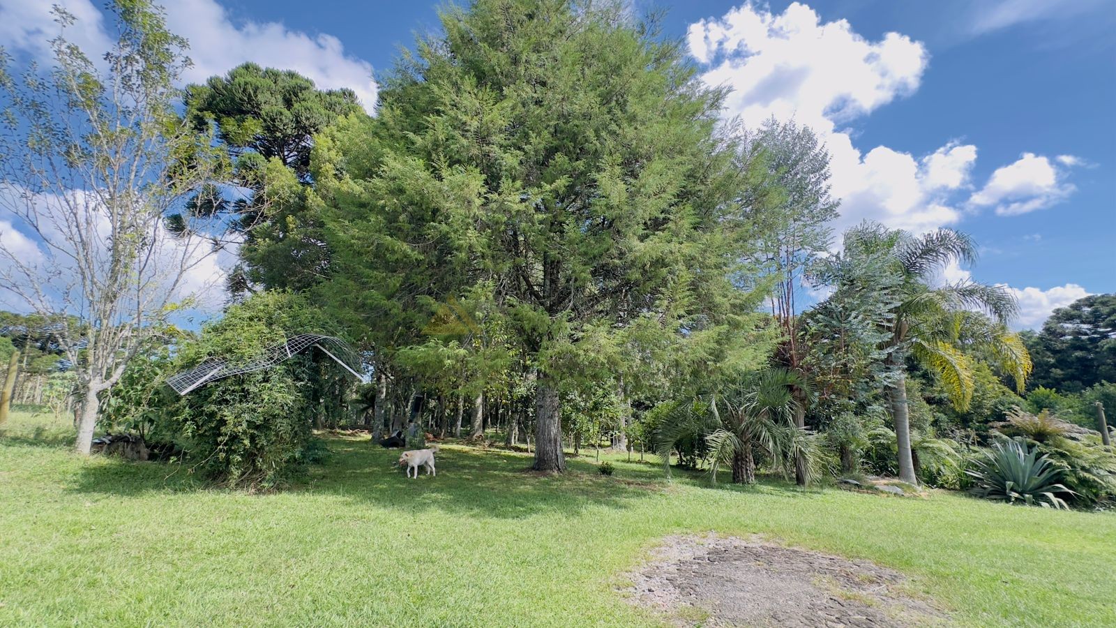 Sítio / Chácara 3 quartos para Venda no bairro Jardim das Fontes em Canela
