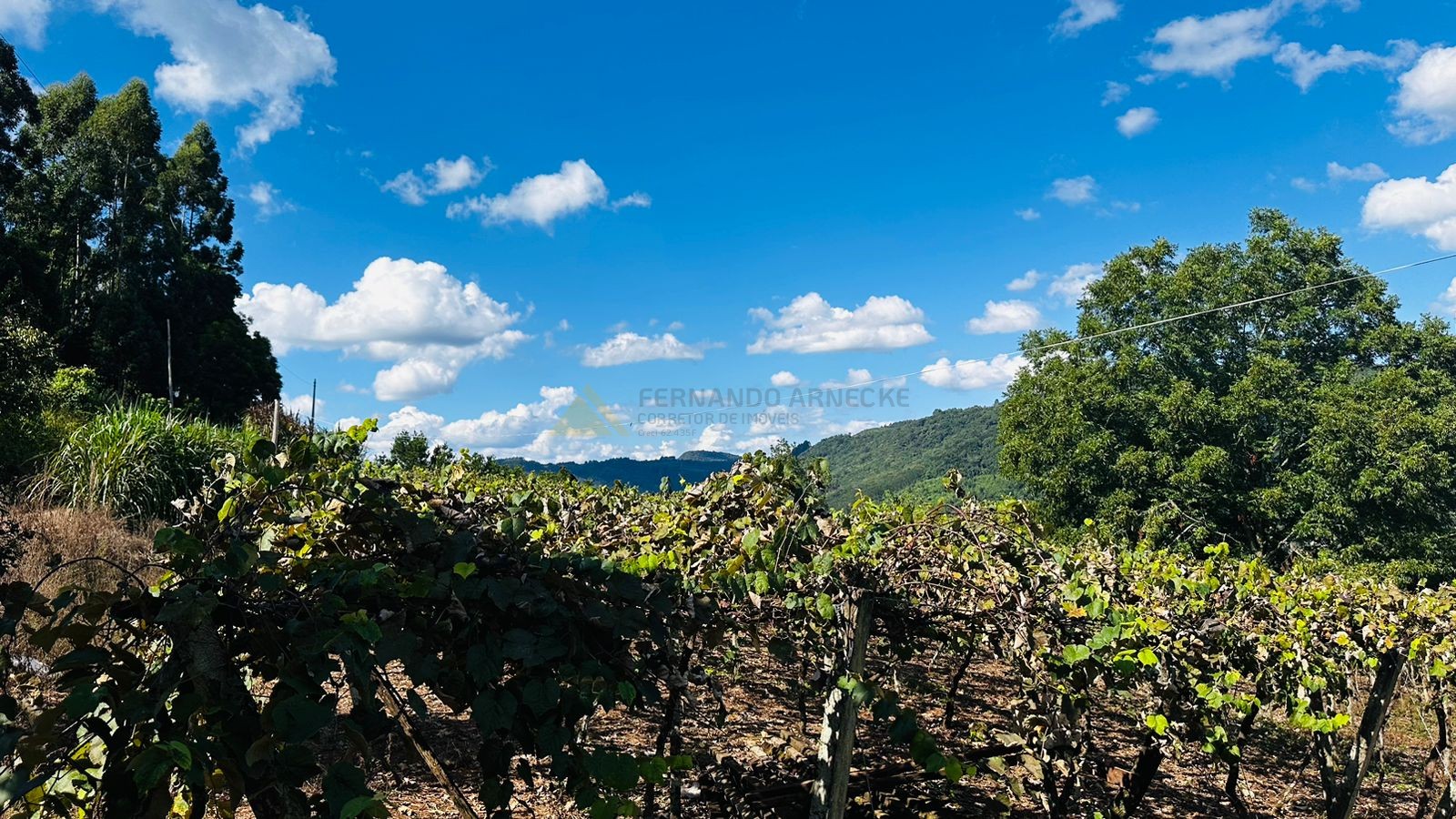 Sítio / Chácara para Venda no bairro Morro Hansen em Picada Café