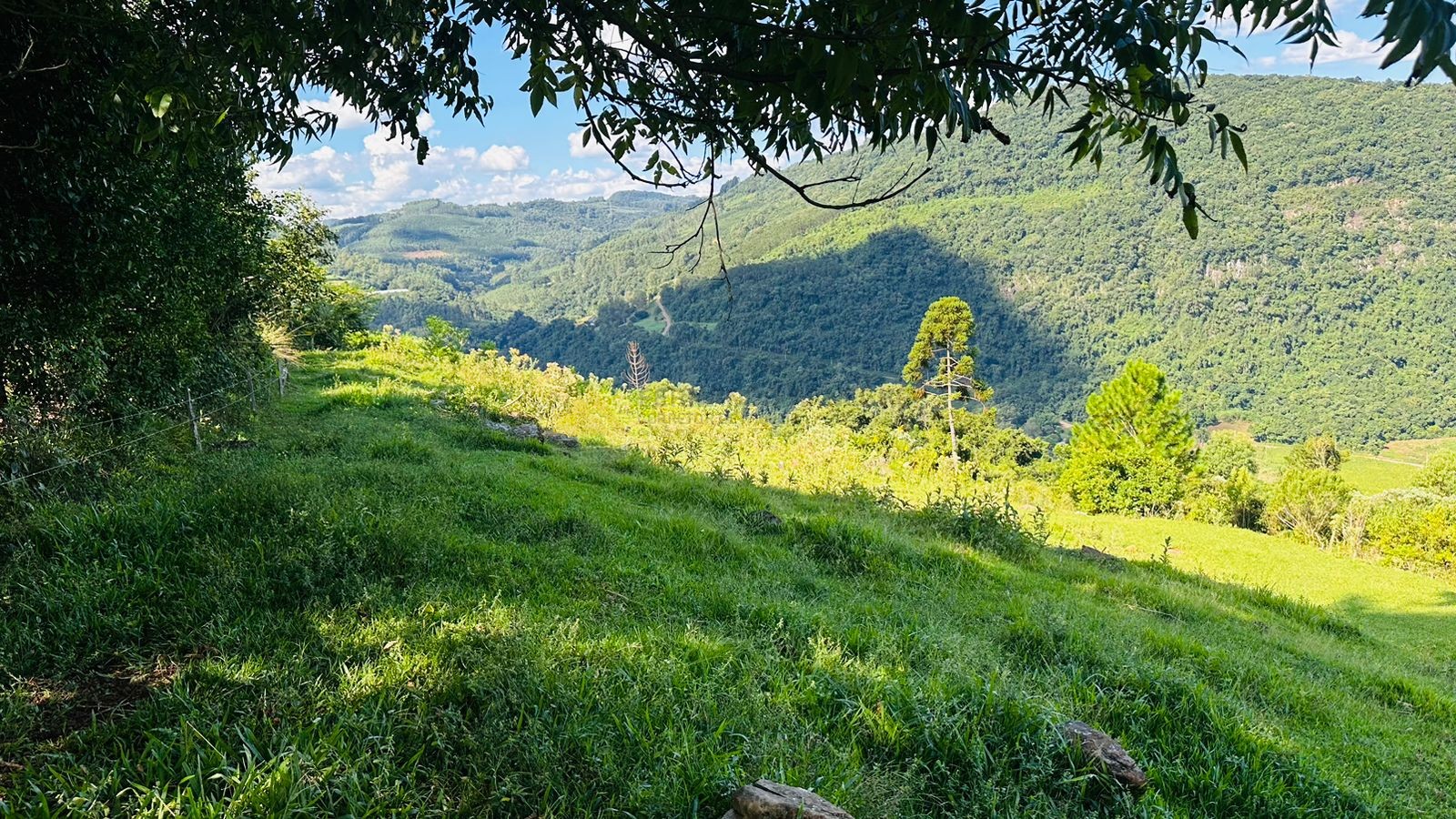 Sítio / Chácara para Venda no bairro Morro Hansen em Picada Café