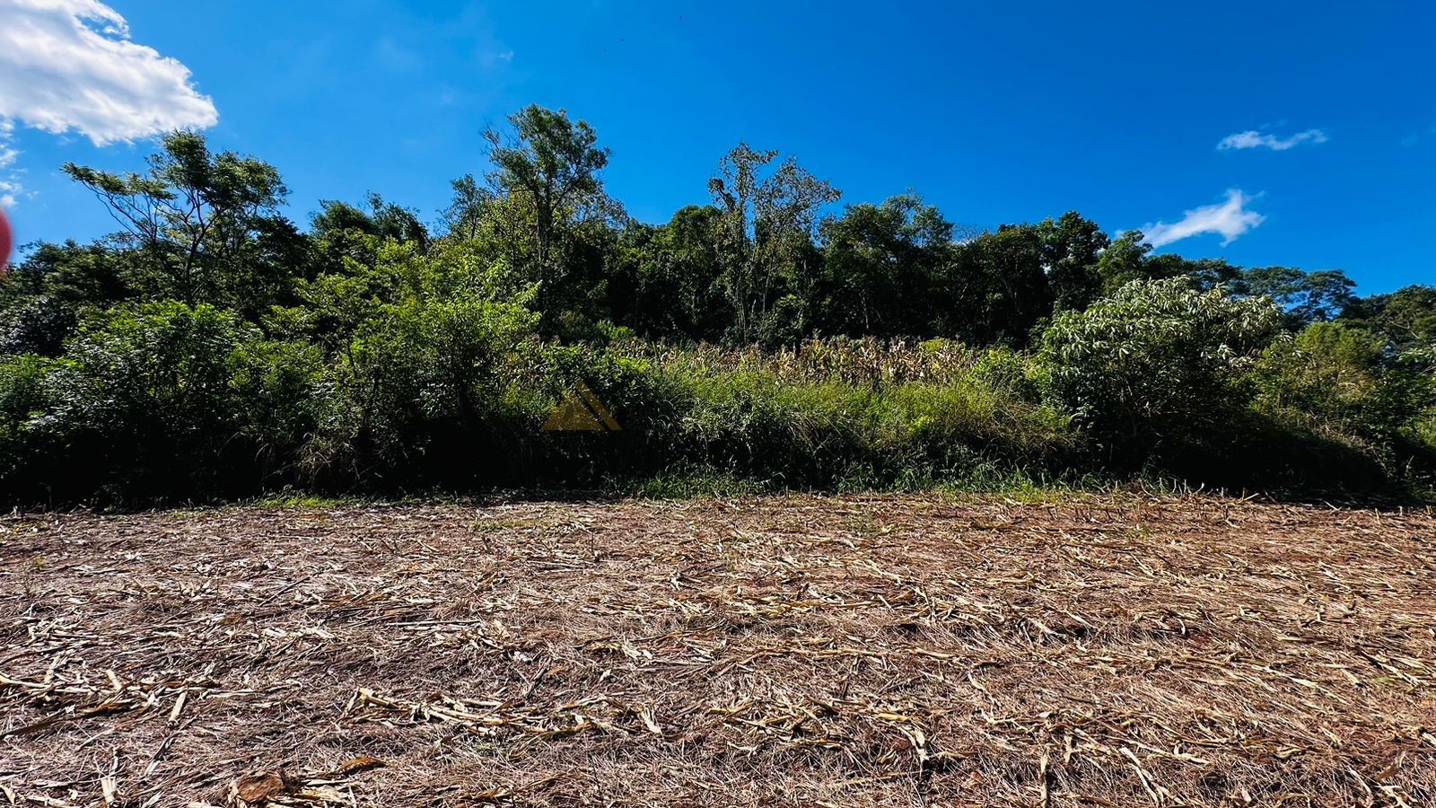 Sítio / Chácara para Venda no bairro São Jacó em Nova Petrópolis