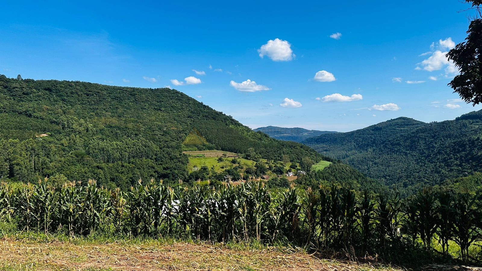 Sítio / Chácara para Venda no bairro São Jacó em Nova Petrópolis