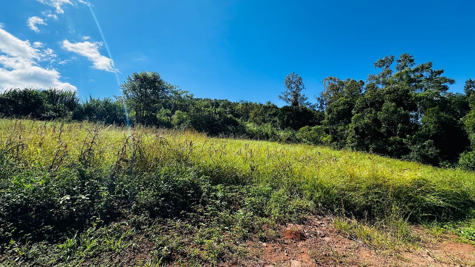 Sítio / Chácara para Venda no bairro São Jacó em Nova Petrópolis