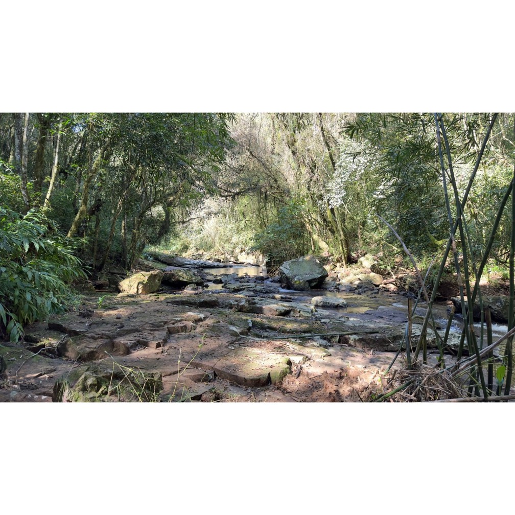 Sítio / Chácara para Venda no bairro São Jacó em Nova Petrópolis