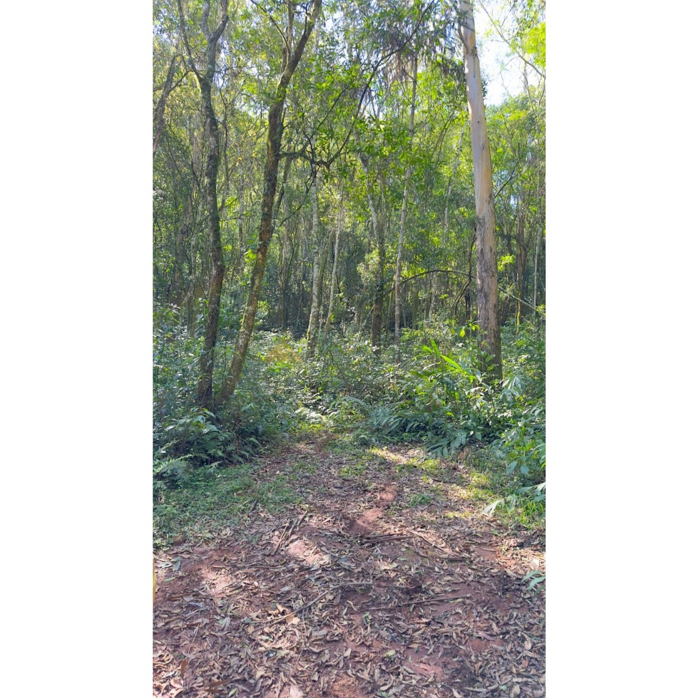 Sítio / Chácara para Venda no bairro São Jacó em Nova Petrópolis