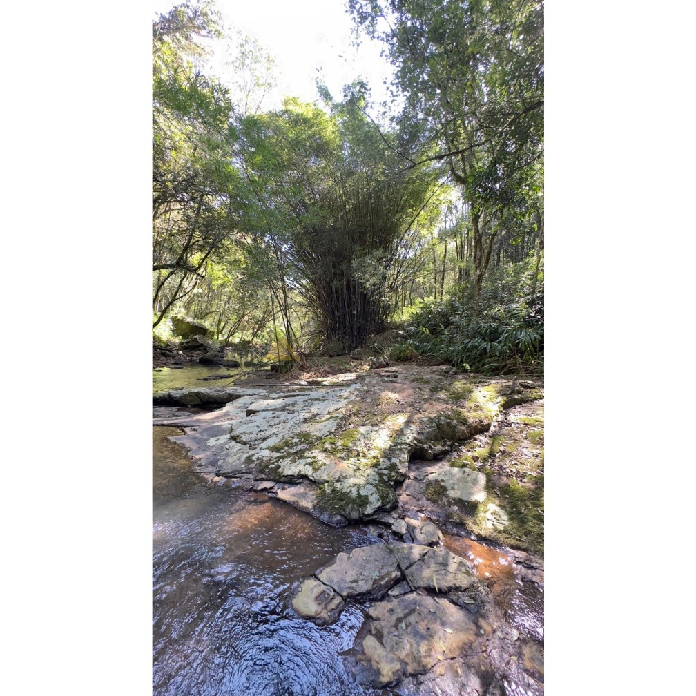 Sítio / Chácara para Venda no bairro São Jacó em Nova Petrópolis