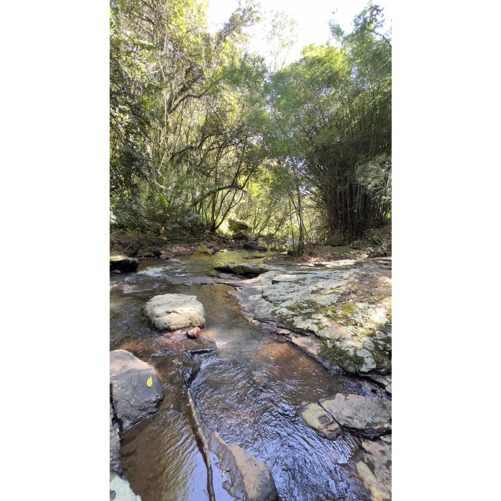 Sítio / Chácara para Venda no bairro São Jacó em Nova Petrópolis