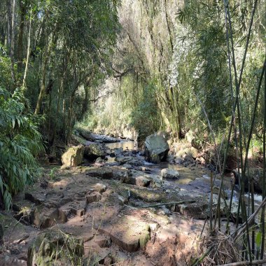 Sítio / Chácara para Venda no bairro São Jacó em Nova Petrópolis