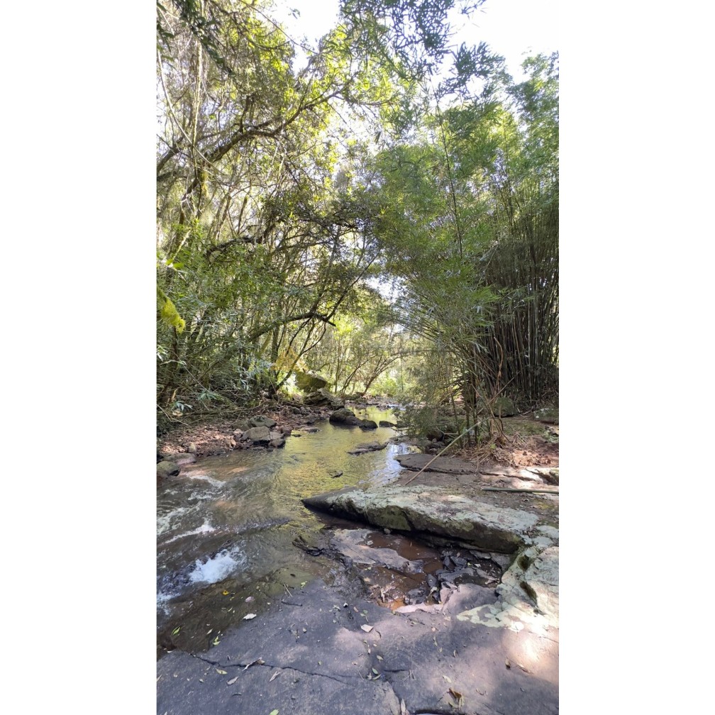 Sítio / Chácara para Venda no bairro São Jacó em Nova Petrópolis