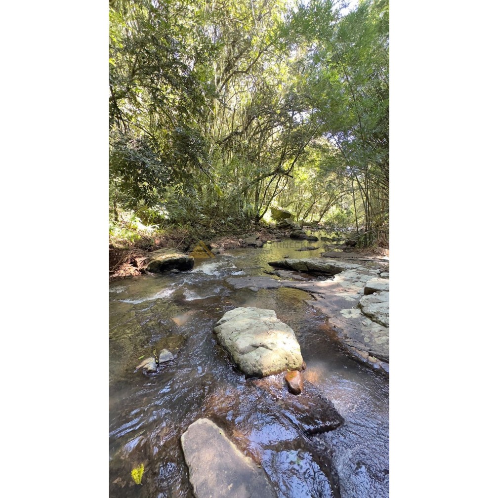 Sítio / Chácara para Venda no bairro São Jacó em Nova Petrópolis