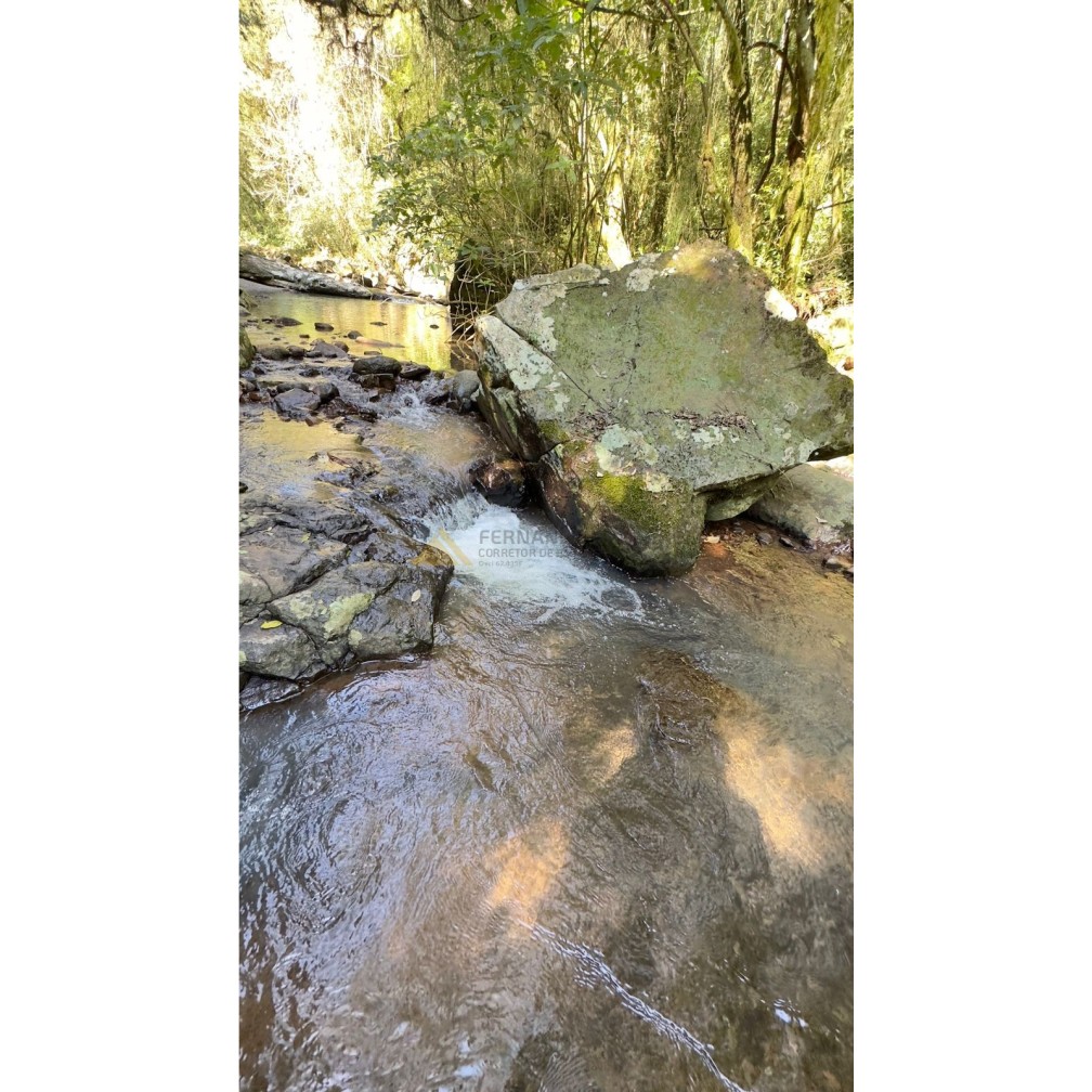 Sítio / Chácara para Venda no bairro São Jacó em Nova Petrópolis